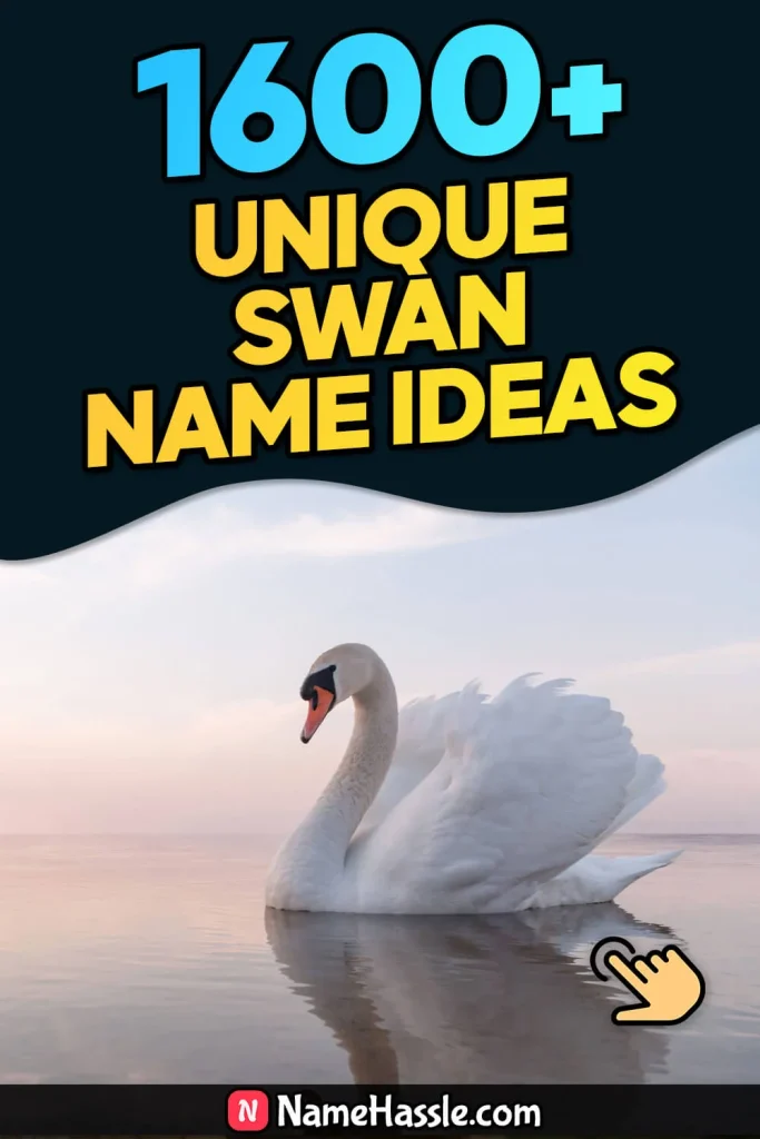 1785+ Cool And Catchy Swan Names Ideas (Generator)