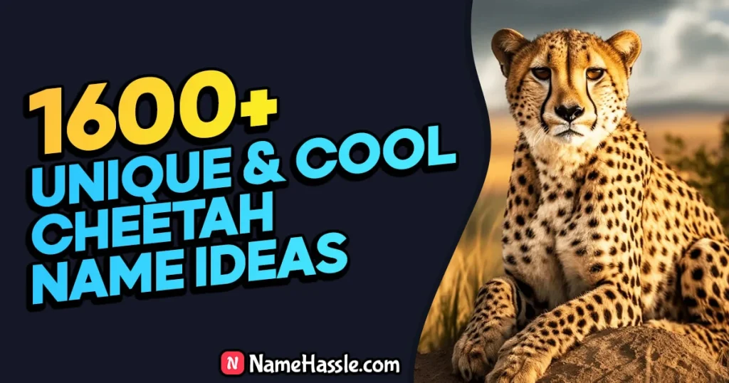 Catchy & Funny Cheetah Names Ideas (Generator)