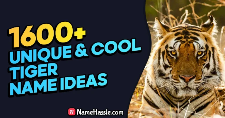 1600+ Cool & Funny Tiger Names Ideas (Generator)