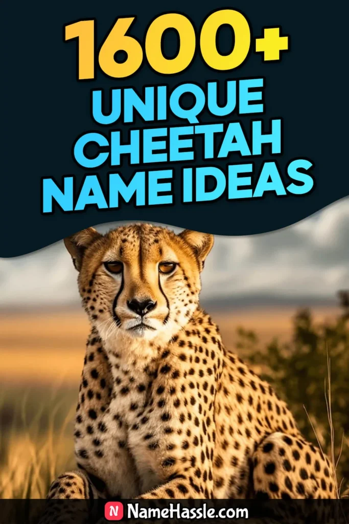 Catchy & Funny Cheetah Names Ideas (Generator)