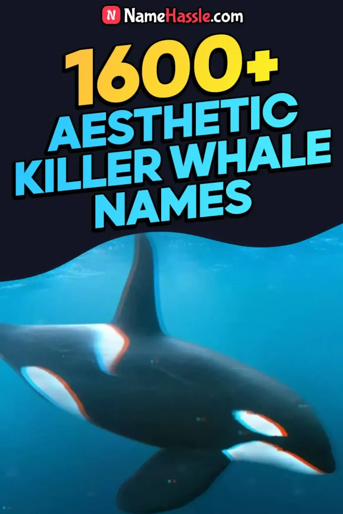 Aesthetic Unique Killer Whale Names (Generator)