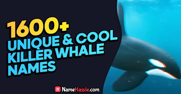 1600+ Aesthetic Unique Killer Whale Names (Generator)