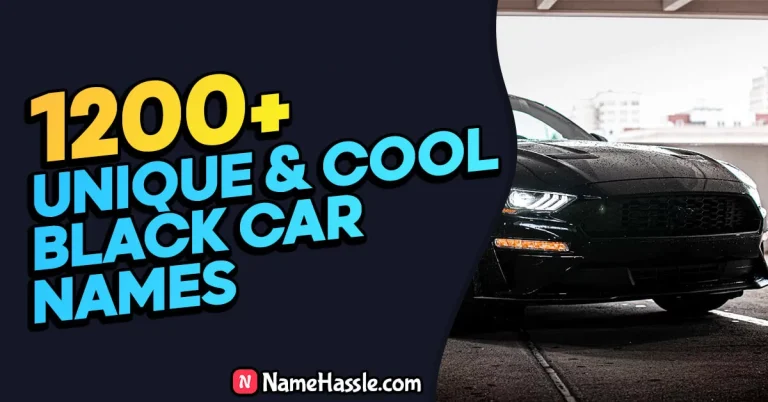 1200+ Best Black Car Names Ideas (Generator)