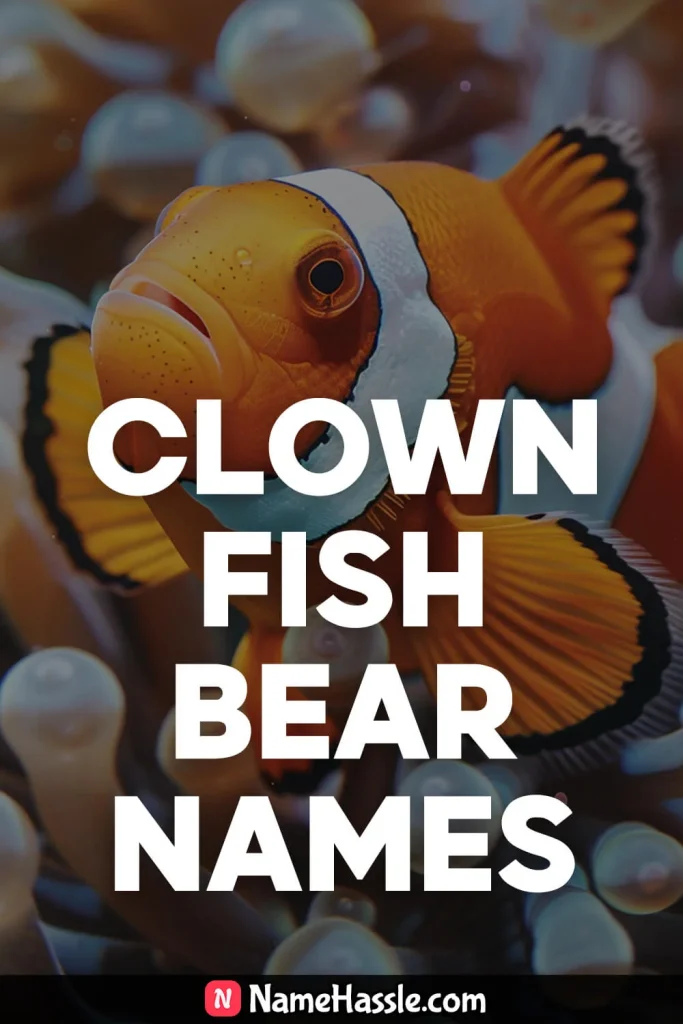 Funny Clownfish Names
