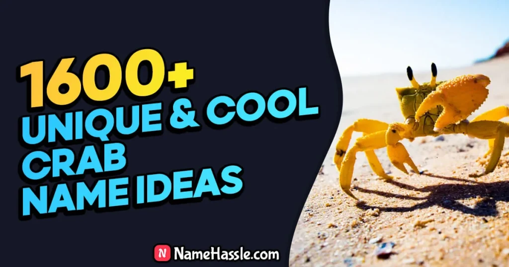 Cool And Catchy Crab Names Ideas (Generator)