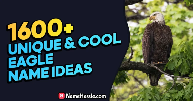 1790+ Cool And Catchy Eagle Names Ideas (Generator)