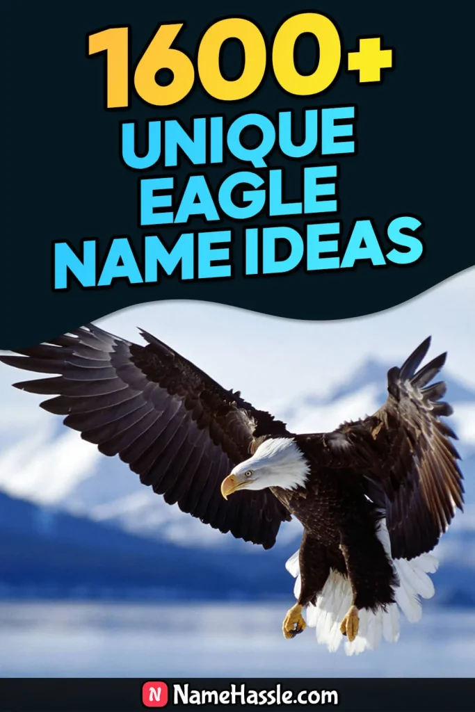 Cool And Catchy Eagle Names Ideas (Generator)