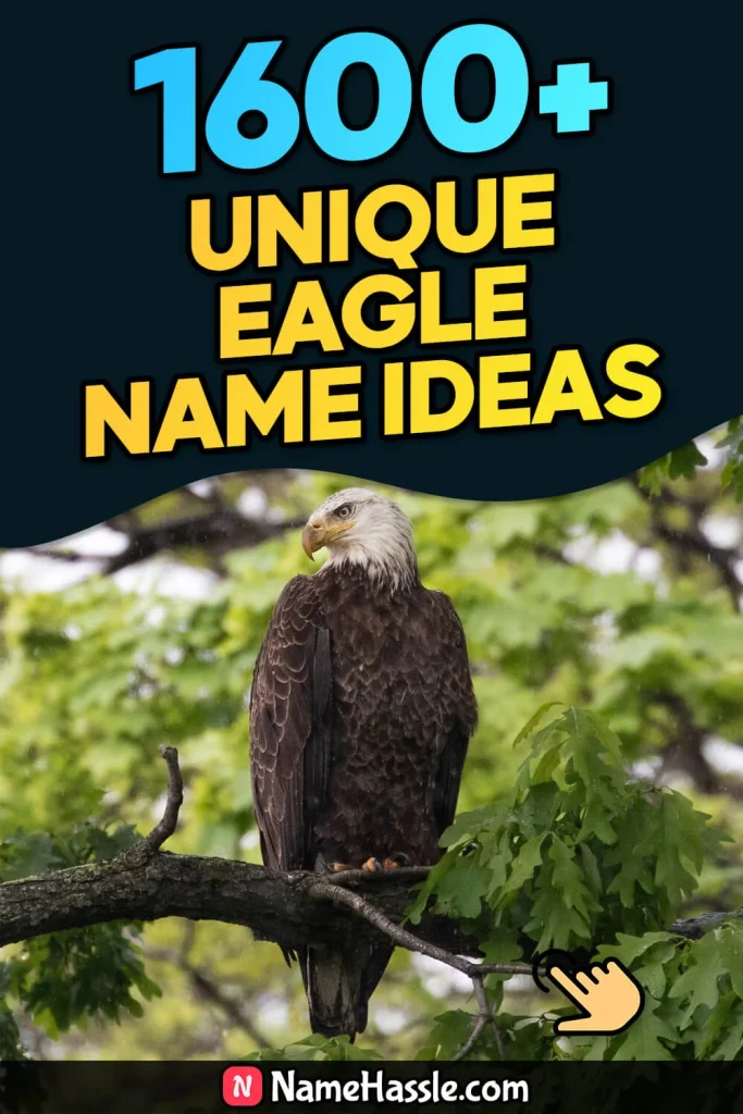 Cool And Catchy Eagle Names Ideas (Generator)