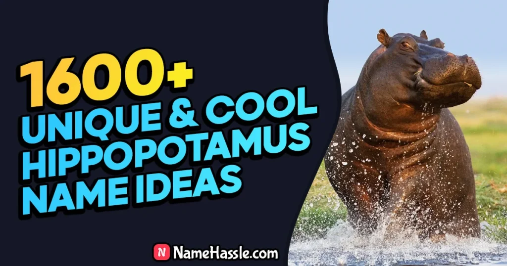 Cool And Catchy Hippopotamus Names Ideas (Generator)