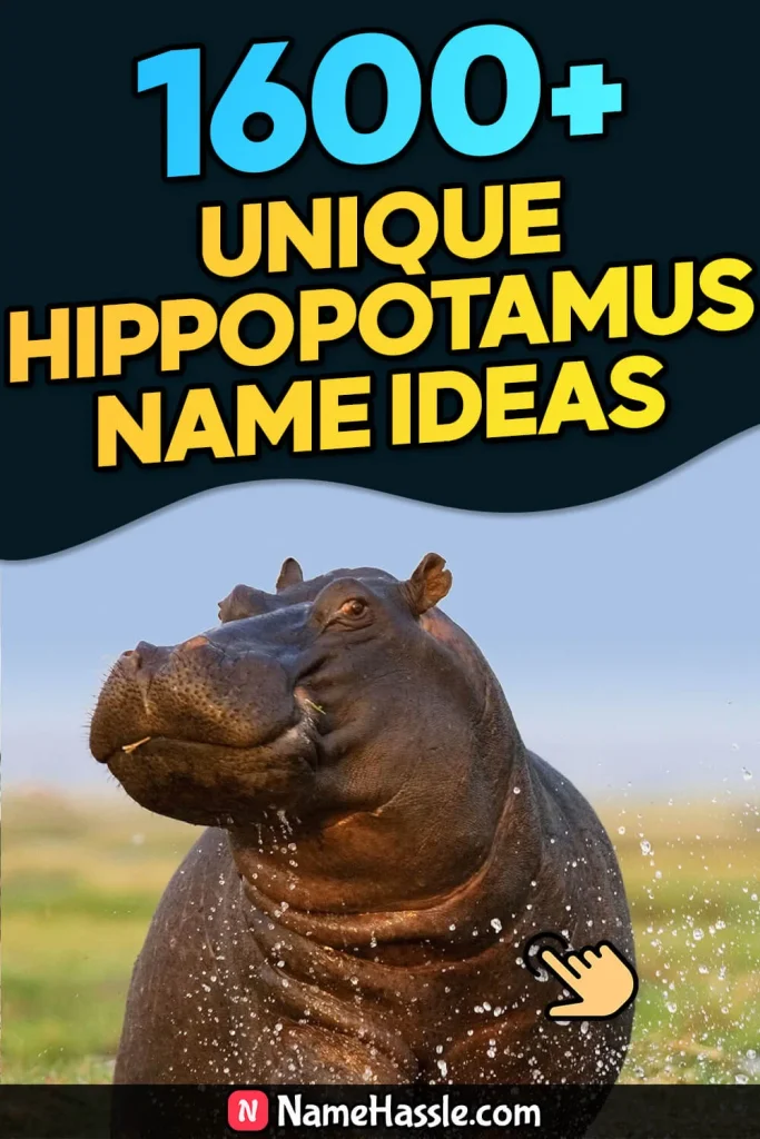Cool And Catchy Hippopotamus Names Ideas (Generator)
