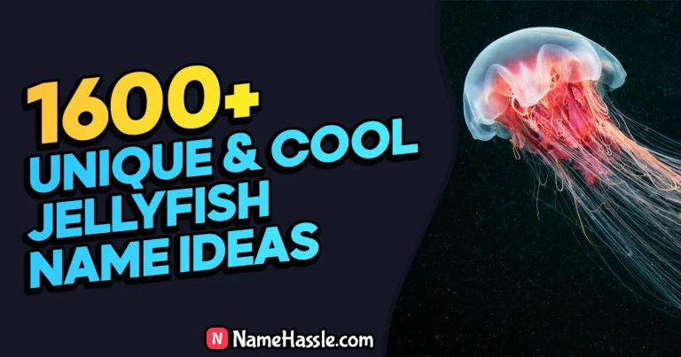 Cool And Catchy Jellyfish Names Ideas (Generator)