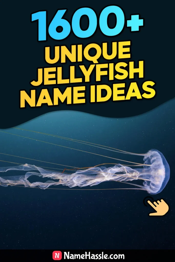 Cool And Catchy Jellyfish Names Ideas (Generator)