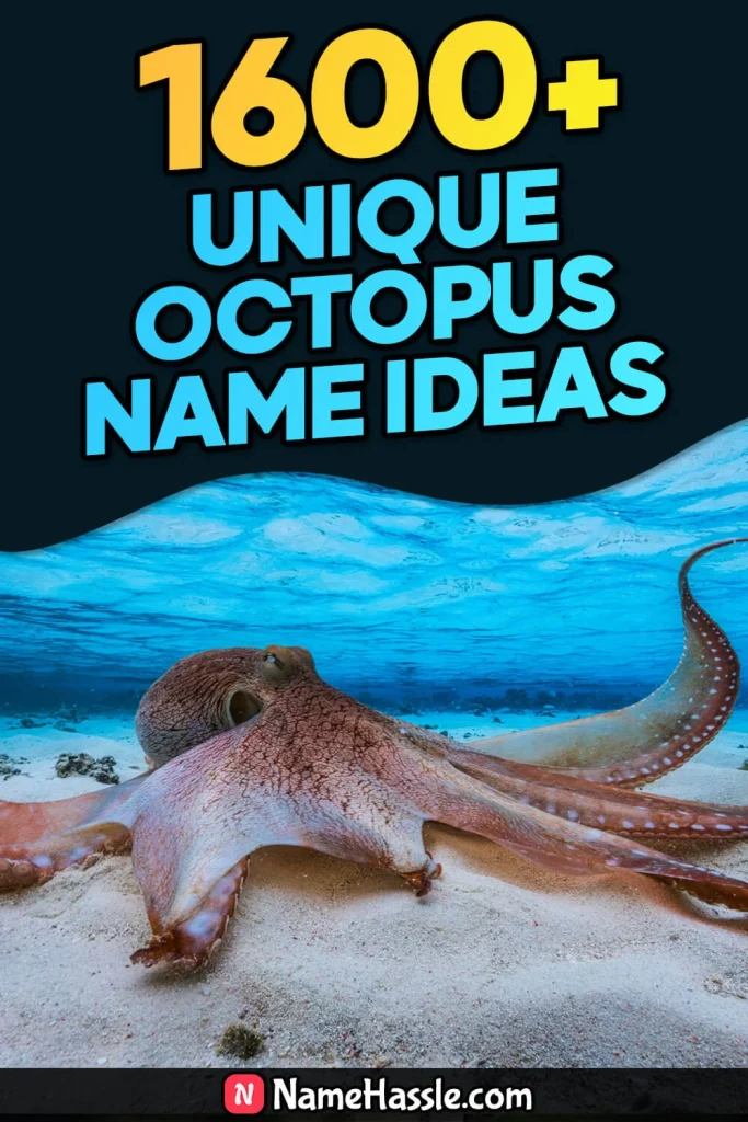 Cool And Catchy Octopus Names Ideas (Generator)