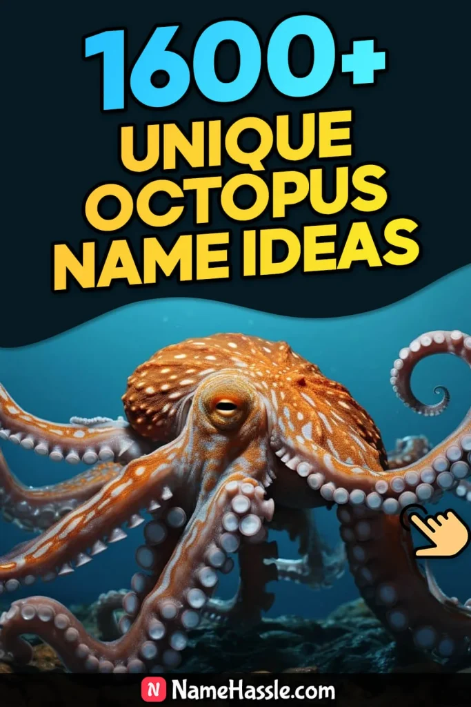 Cool And Catchy Octopus Names Ideas (Generator)