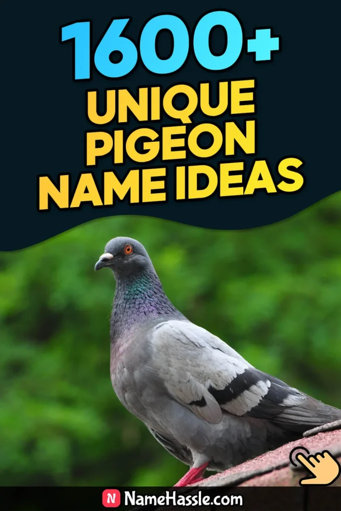 1645+ Cool And Catchy Pigeon Names Ideas (Generator)
