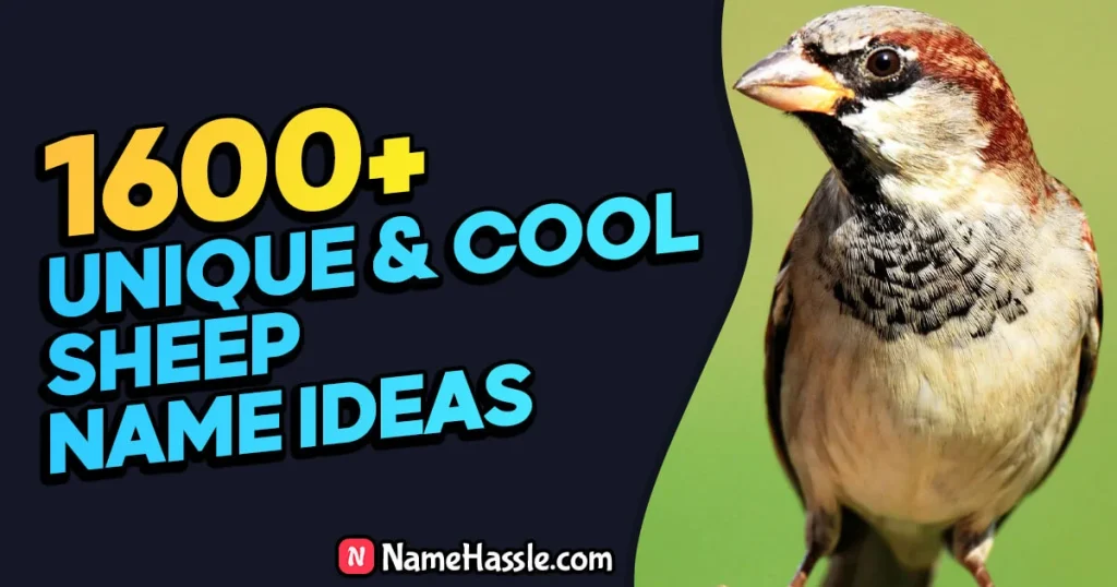 Cool And Catchy Sparrow Names Ideas (Generator)