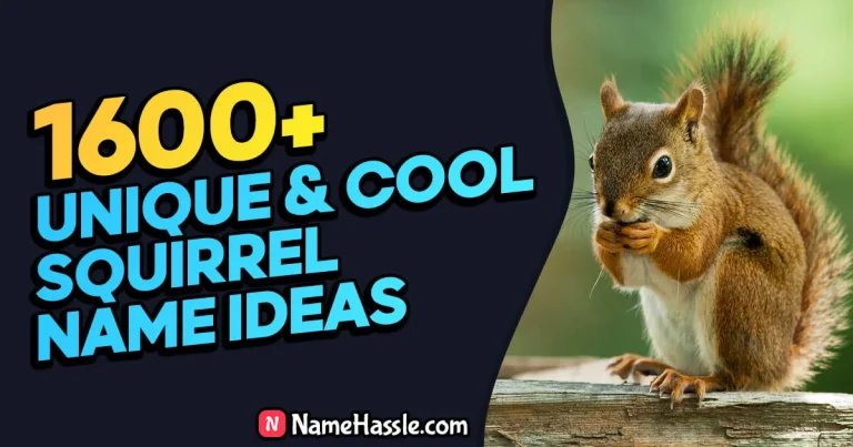 Cool And Catchy Squirrel Names Ideas (Generator)
