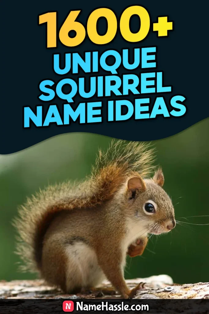 Cool And Catchy Squirrel Names Ideas (Generator)