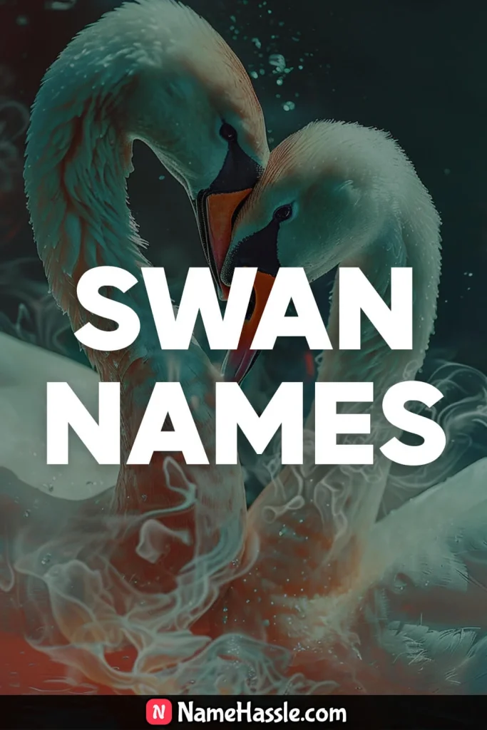 Cool And Catchy Swan Names Ideas Generator 16