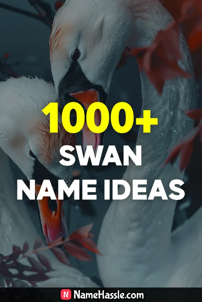 Cool And Catchy Swan Names Ideas Generator 17