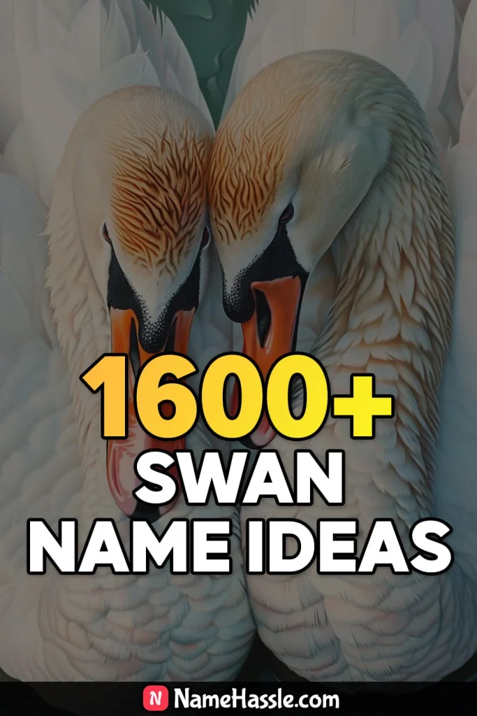 Cool And Catchy Swan Names Ideas Generator 18