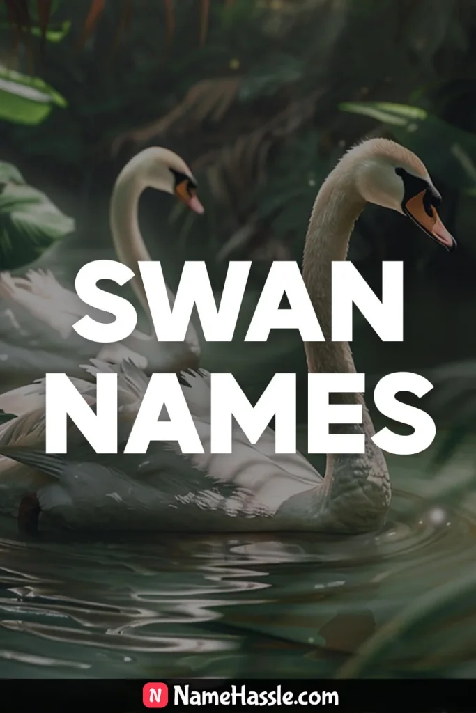 Cool And Catchy Swan Names Ideas Generator 21