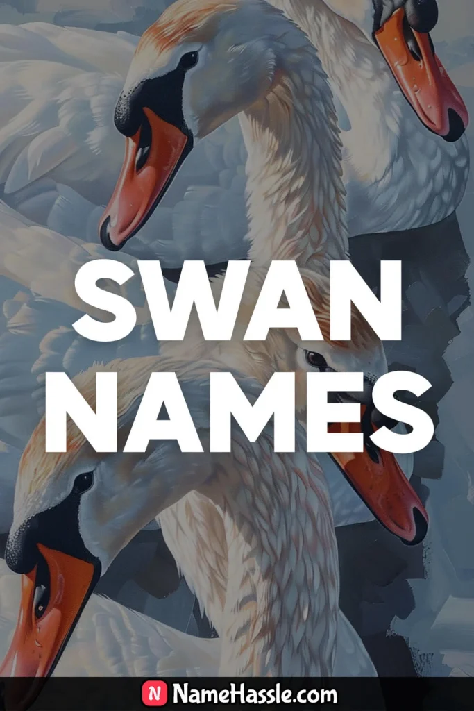 Cool And Catchy Swan Names Ideas Generator 22