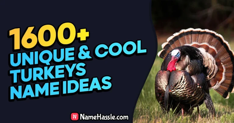 1775+ Cool And Catchy Turkeys Names Ideas (Generator)