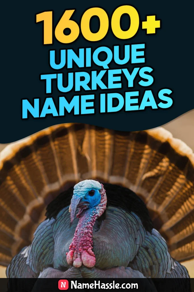 Cool And Catchy Turkeys Names Ideas (Generator)
