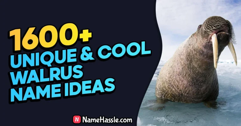 1795+ Cool And Catchy Walrus Names Ideas (Generator)