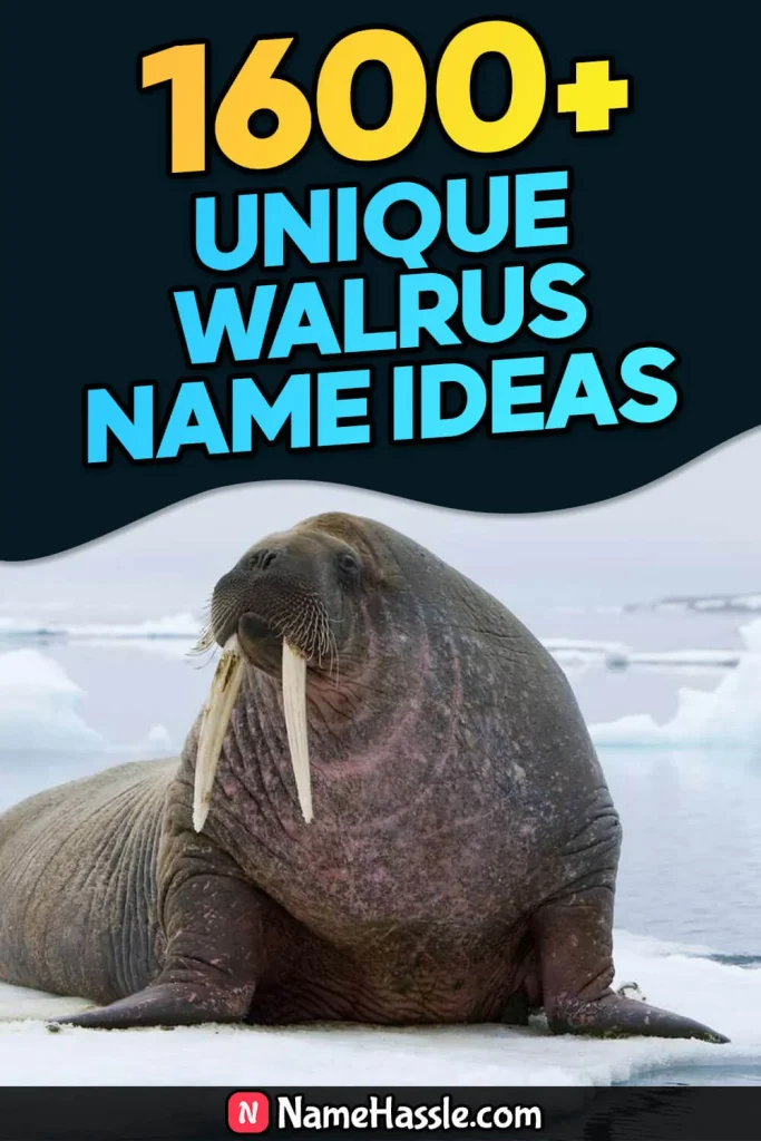 Cool And Catchy Walrus Names Ideas (Generator)