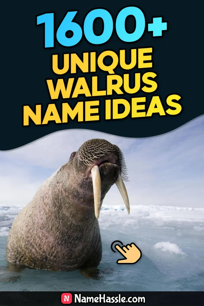 Cool And Catchy Walrus Names Ideas (Generator)