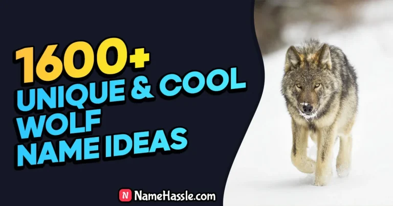 1710+ Cool And Catchy Wolf Names Ideas (Generator)