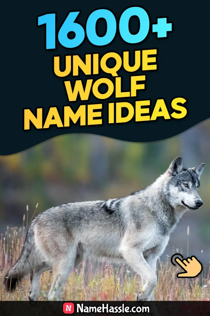 Cool And Catchy Wolf Names Ideas (Generator)