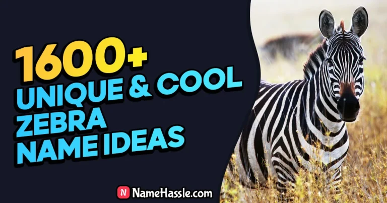 1650+ Cool And Catchy Zebra Names Ideas (Generator)