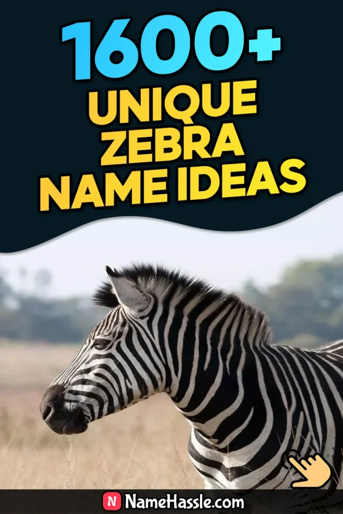 Cool And Catchy Zebra Names Ideas (Generator)