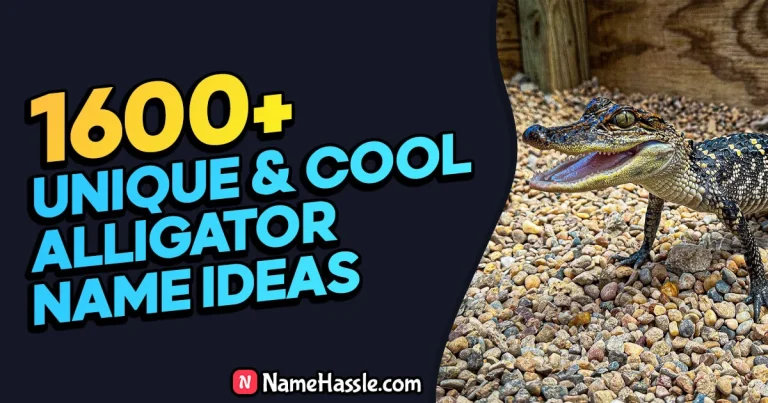 Cool And Funny Alligator Names Ideas (Generator)