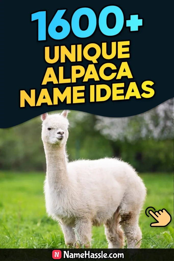 Cool And Funny Alpaca Names Ideas (Generator)