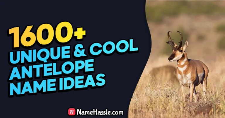 1840+ Cool And Funny Antelope Names Ideas (Generator)