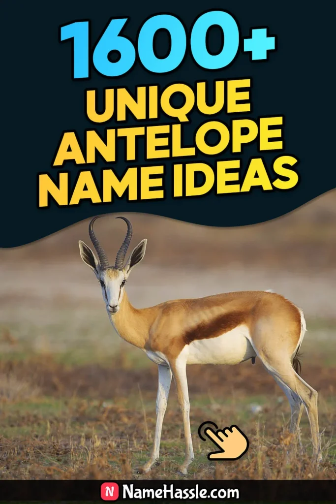 1840+ Cool And Funny Antelope Names Ideas (Generator)