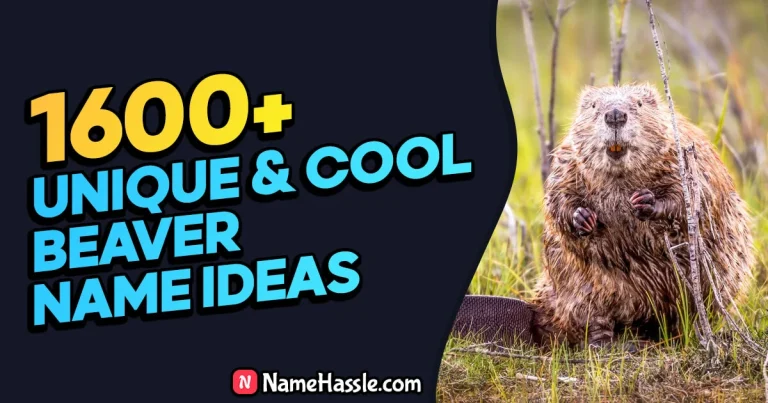 Cool And Funny Beaver Names Ideas (Generator)