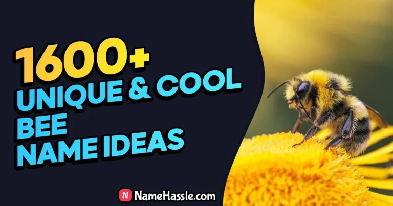 Cool And Funny Bee Names Ideas (Generator)