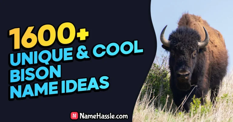 Cool And Funny Bison Names Ideas (Generator)