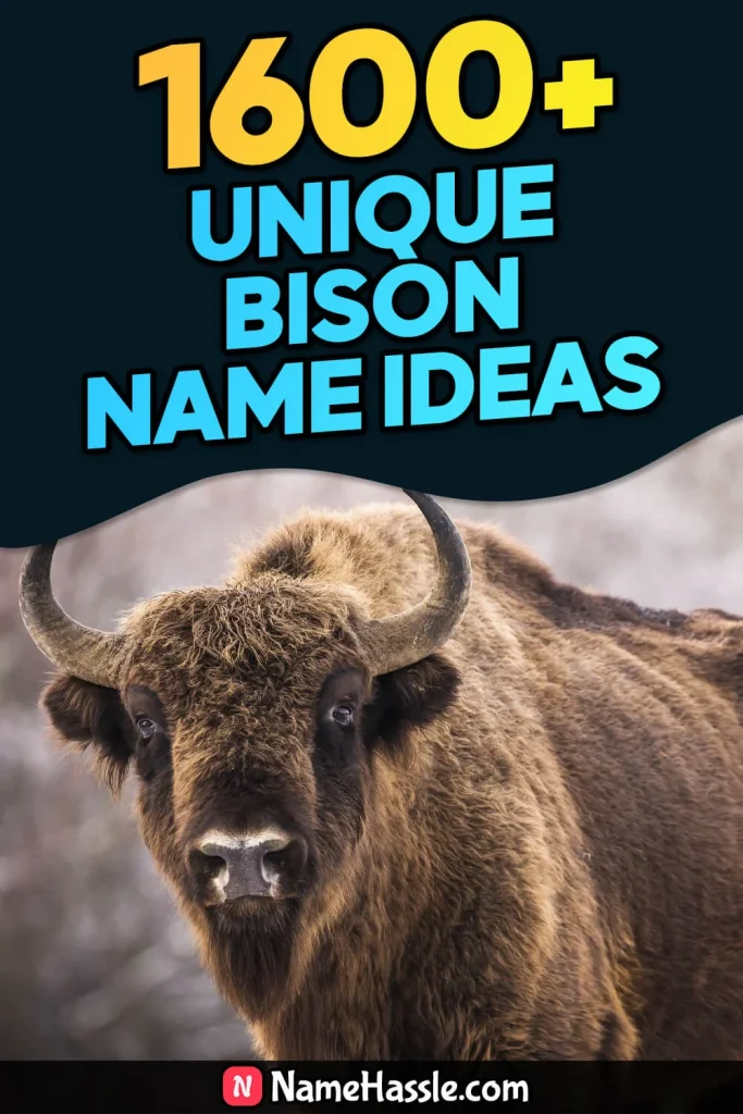 Cool And Funny Bison Names Ideas (Generator)