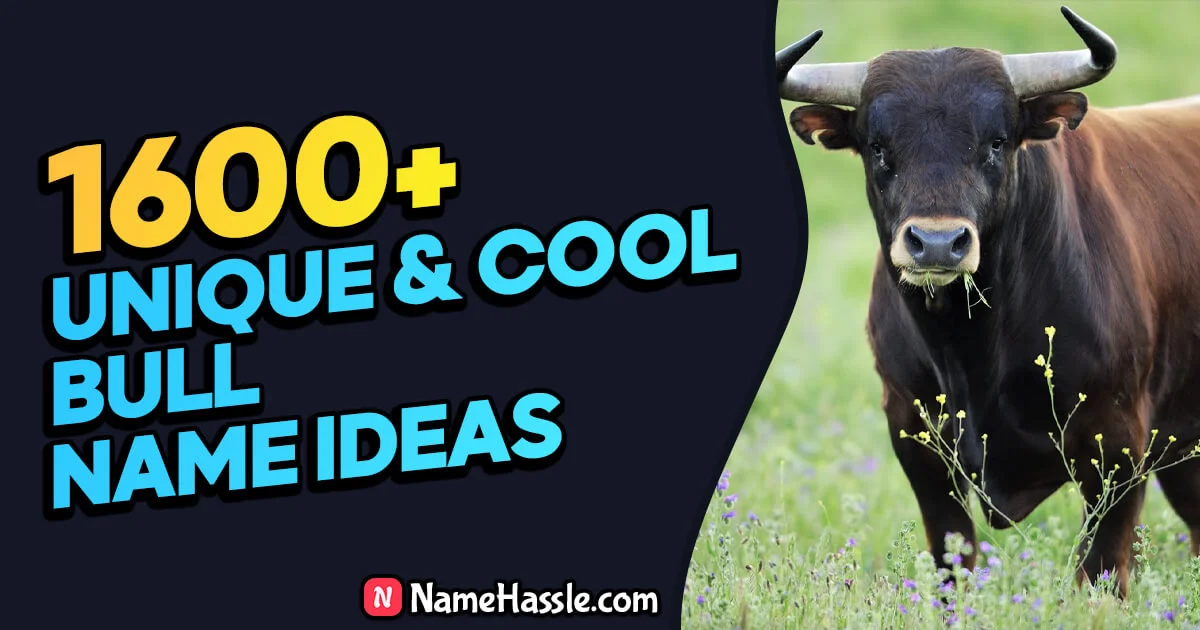 Cool And Funny Bull Names Ideas (Generator)