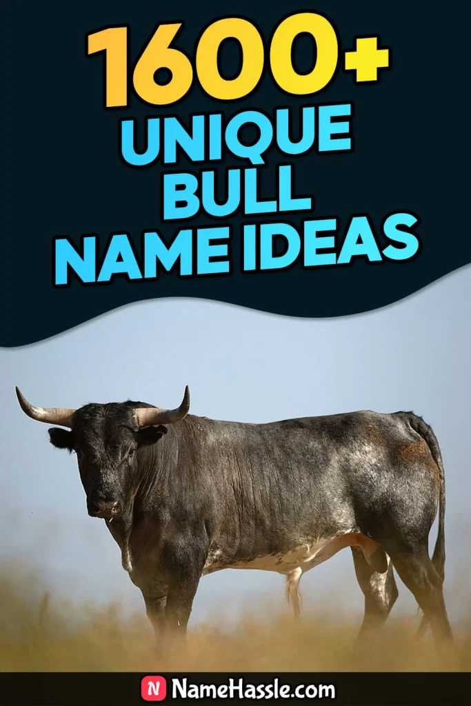 Cool And Funny Bull Names Ideas (Generator)