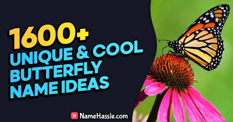 1705+ Cool And Funny Butterfly Names Ideas (Generator)