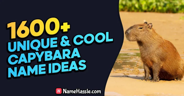 1675+ Cool And Funny Capybara Names Ideas (Generator)
