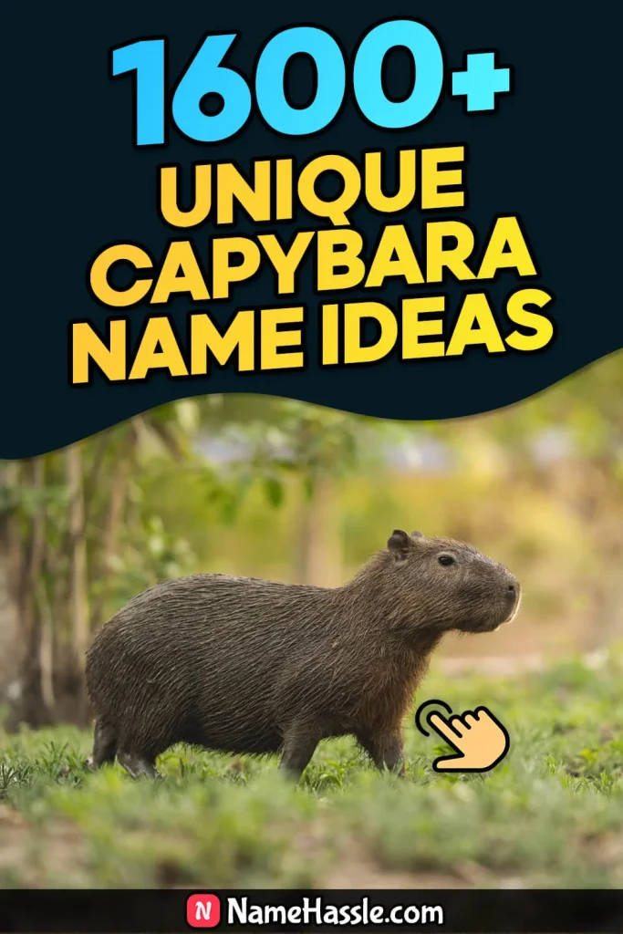 Cool And Funny Capybara Names Ideas (Generator)