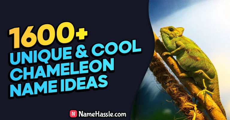 1715+ Cool And Funny Chameleon Names Ideas (Generator)